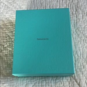 Tiffany & Co. Set of hand blown Crystal Champagne flutes with gold Rims  NIB